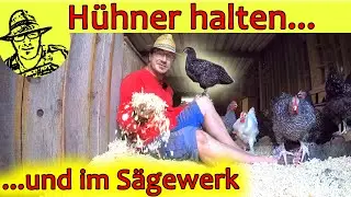 Die eigenen Hühner im Garten: Aus 