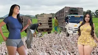 A close-up view of farmers herding migrating ducks to a new rural area.