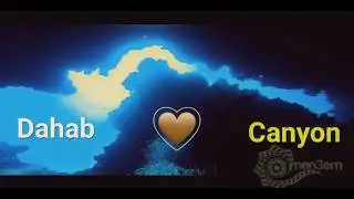 Diving: Red Sea Egypt: 🤎 The Canyon. Dahab, Egypt.