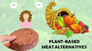 Plant Based Meat Alternatives - is mimicking the taste & texture of real meat a good or a bad thing?