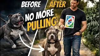 The Dog Walking Game That Instantly Stops Pulling