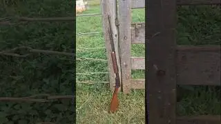 Amadeo Rossi Gallery Rifle cal. 22 Lr em ESTADO DE NOVO
