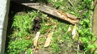 Watch This Video To Learn More About A Wood Post With Dry Rot Damage