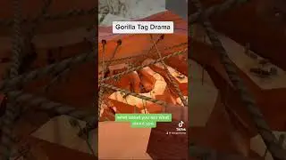 Жареный бой #gorillatag