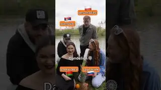 Slavic languages are similar, but&hellip; (Russian vs Belarusian vs Serbian vs Polish)