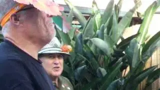 Jamieson.Me Dennis SpringTime Hat Parade 09 Most Ellegent