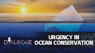 Urgency in ocean conservation: Innovating the Blue Economy for a sustainable future