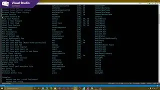 Create a .NET Core Project Template for Visual Studio