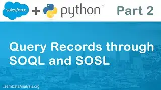 Salesforce AP in Python | Query Records