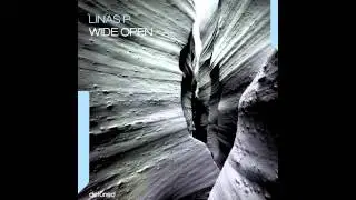 Linas P - Freedom (Original Mix) - Detuned Recodings