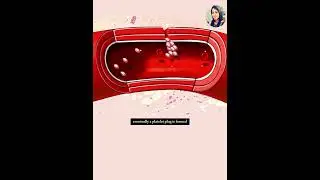 Blood Clotting Explained: How Your Body Stops Bleeding 🩸🔬