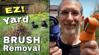 Yard Brush Removal Tips  |  Spring & Fall Yard Cleanup
