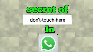 The mystery behind 