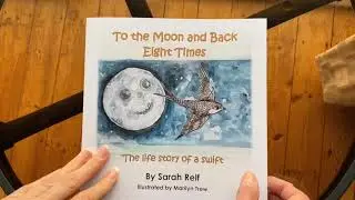 To the moon and back 8 times Tesco Blue Token Scheme April 2025