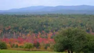 Maine Landscapes