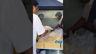Samosas in Ramadan 2024 | Qatar