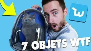 7 OBJETS WISH WTF POUR MON CHAT !