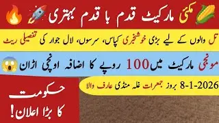 Today Makai rate|Today Munji rate|Today till rate|8-1-2026 اج کا مکئی کا ریٹ|بروز جمعرات 