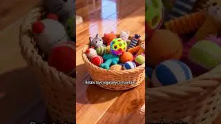 Indoor Cat Playtime Guide