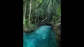 River in Forest  #nature