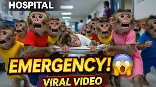 Baby Monkey Rushed😱 to Hospital 🥺 | What Happened Suddenly? | Viral AI Video #viral #viralvideo