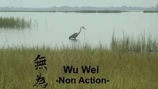 IPFF 2018 Official Selection: Wu Wei Non Action, Trailer