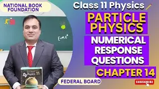 Numerical Problems of Particle Physics | Physics 11 | Chapter 14: Particle Physics | NBF