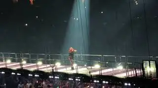 Panda Daddy Yankee