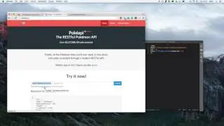 How to get all data from PokéAPI v2 - PHP Tutorial