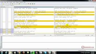 Compare two files using WinMerge.