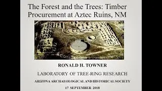 The Forest and the Trees: Timber Procurement at Aztec Ruins, New Mexico