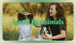Loved By Animals | Peaceful Animal Connection Subliminal
