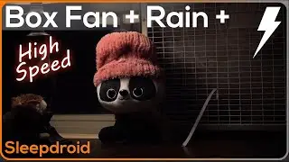 Box Fan (High Speed) and Rain Sounds for Sleeping with Distant Thunder, 10 hours Fan White Noise
