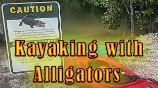 Kayaking with Alligators? Oleta State Park and Raccoon Island
