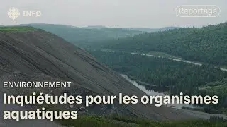 Des &laquo; niveaux &eacute;lev&eacute;s &raquo; d&rsquo;amiante dans des cours d&rsquo;eau &agrave; Thetford Mines et Val-des-Sources