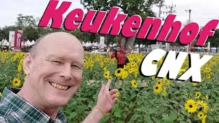 * Spoken in Dutch! * Small KEUKENHOF in THAILAND! Charming Chiang Mai Flower Festival 2026