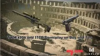 WARFACE - TWM x308 Gameplay