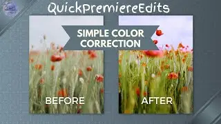 Color Correction | Before and After | QuickPremiereEdits