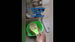 Cetak Pentol Bakso