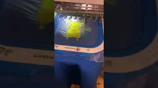 Pikachu embroidery on hoodie