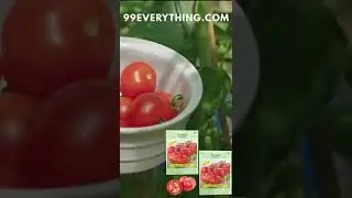 Sprout on a Budget: Garden Seed Haul + 99&cent; Finds from 99Everything.com