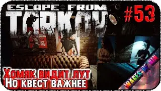 Что нам несет ветер Таркова?! 💀 Escape from Tarkov 💪 СТРИМ #53