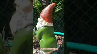 PEEING GARDEN GNOME