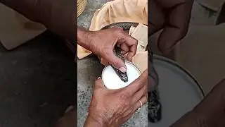 Snake charmers torture snakes for show&mdash;don&rsquo;t support it, report it. 🐍🚫 #savesnakes