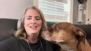 Show love to people and heathen dogs!