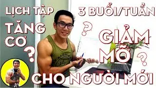 Lịch Tập Tăng Cơ Giảm Mỡ 3 buổi 1 tuần cho người mới | HLV Thể Hình Cá Nhân Ryan Long Fitness