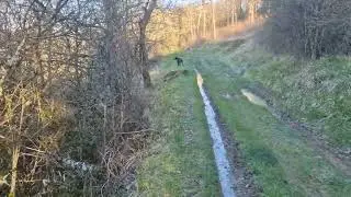 Balade avec Lusty sur le chemin des vignes entre Vitteaux et Massingy-les-Vitteaux (21)