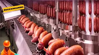 40 Amazing  Videos Agricultural Processing Line👍🏻 The Factory That Transforms Farmer Agriculture