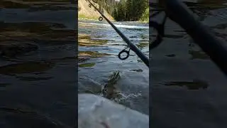Fishing the Gallatin River Big Sky, Mt 