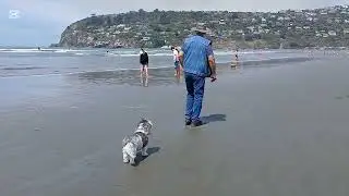 Foggy afternoon at the Beach